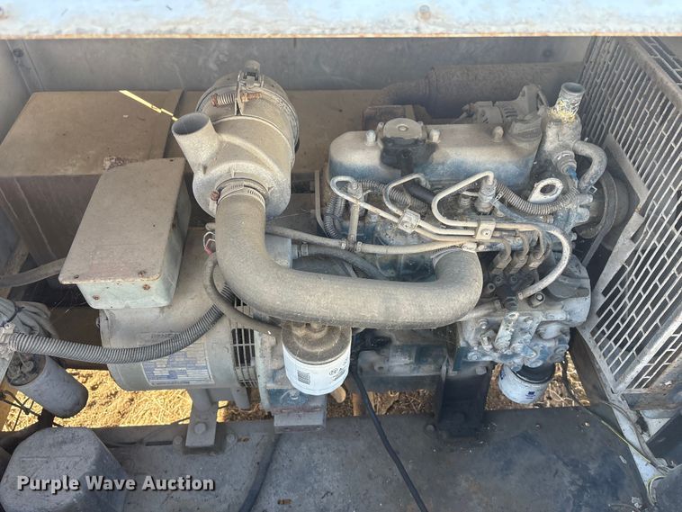 image for item DT2795  (4) light plants