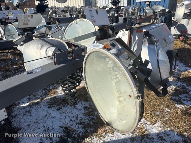 image for item DT2795  (4) light plants