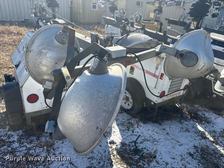 image for item DT2795  (4) light plants