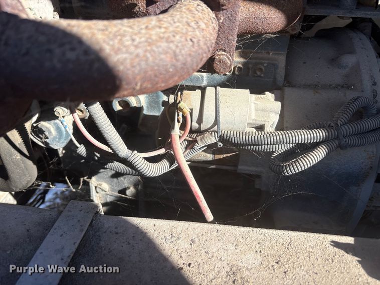 image for item DT2795  (4) light plants