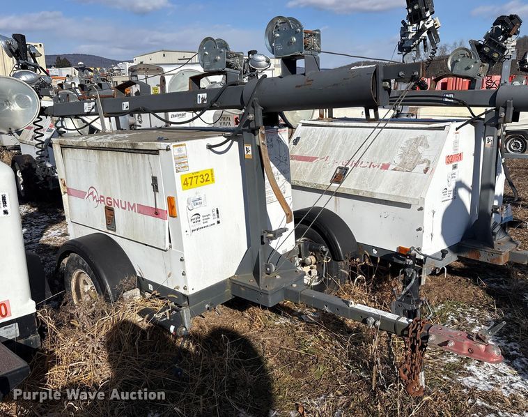 image for item DT2795  (4) light plants