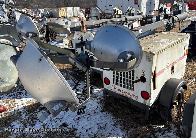 image for item DT2795  (4) light plants