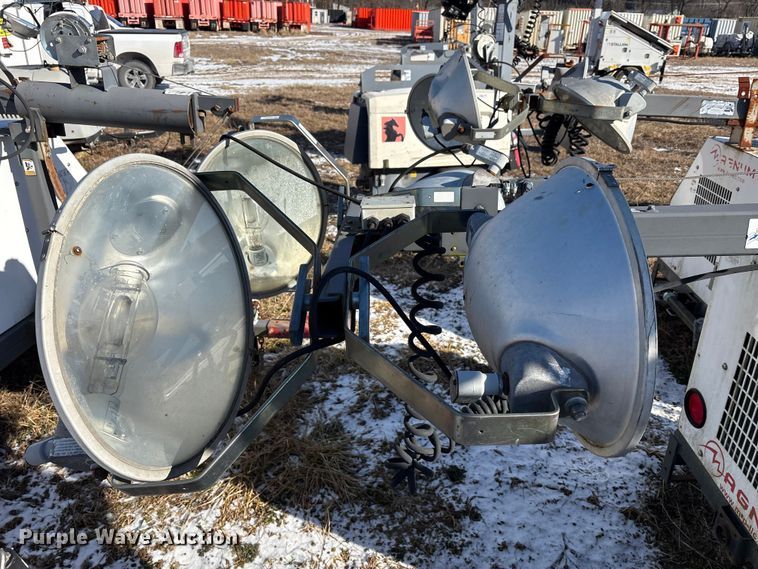 image for item DT2795  (4) light plants