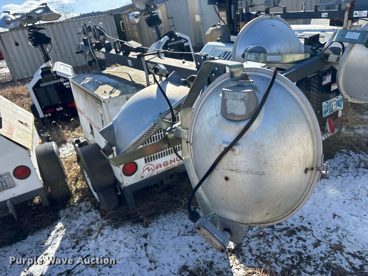 image for item DT2795  (4) light plants