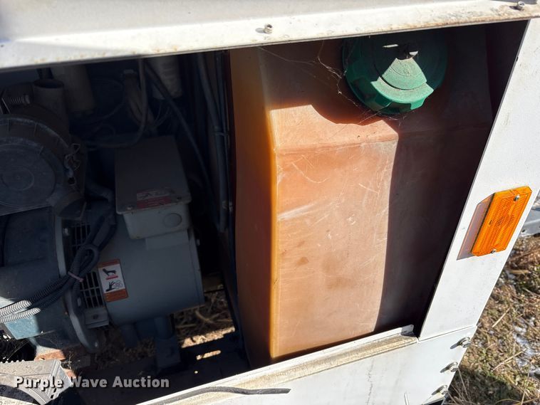 image for item DT2795  (4) light plants