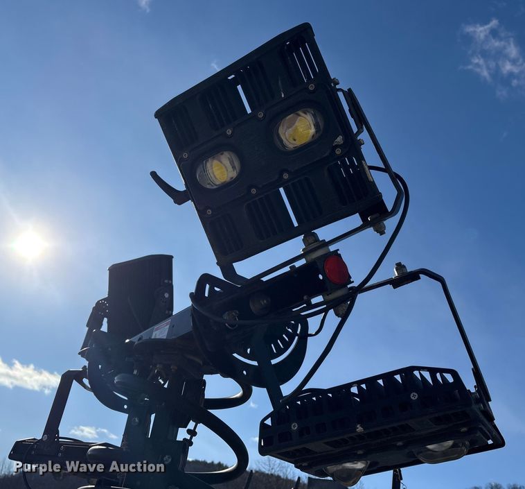 image for item DT2795  (4) light plants