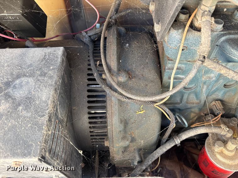 image for item DT2795  (4) light plants