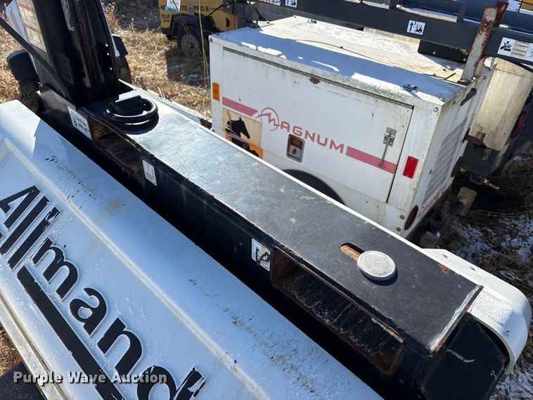 image for item DT2795  (4) light plants