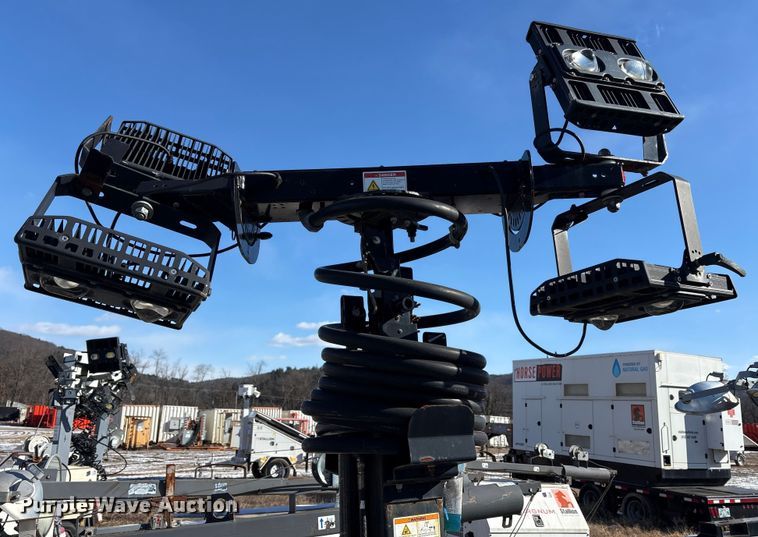 image for item DT2795  (4) light plants