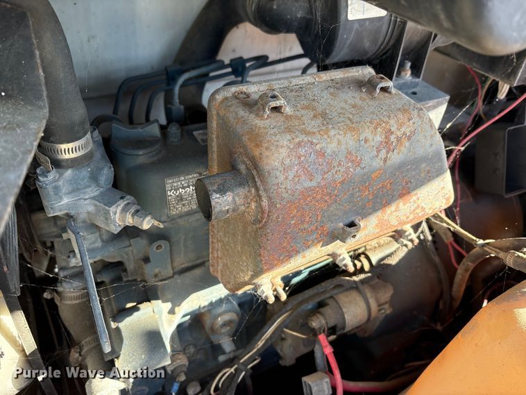 image for item DT2795  (4) light plants