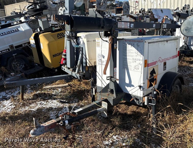 image for item DT2795  (4) light plants