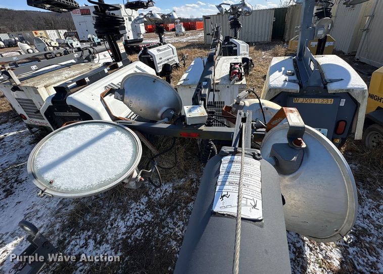 image for item DT2795  (4) light plants