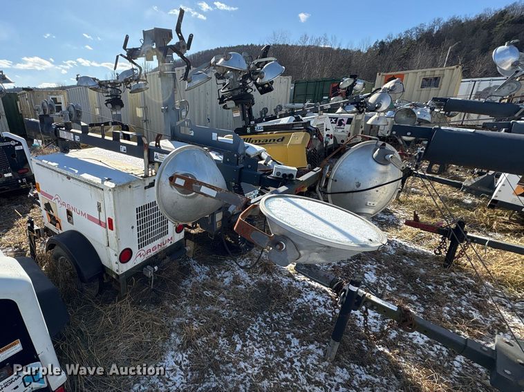 image for item DT2795  (4) light plants