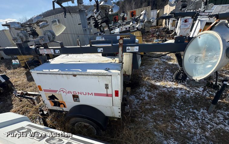 image for item DT2795  (4) light plants