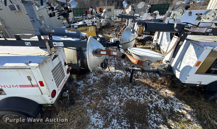 image for item DT2795  (4) light plants