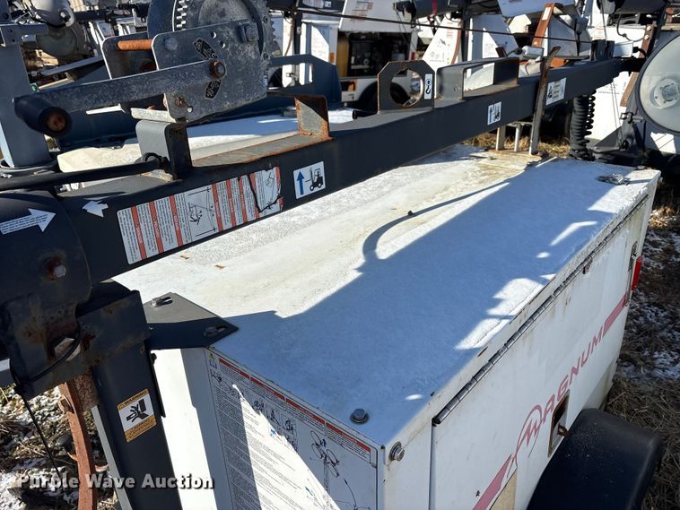 image for item DT2795  (4) light plants