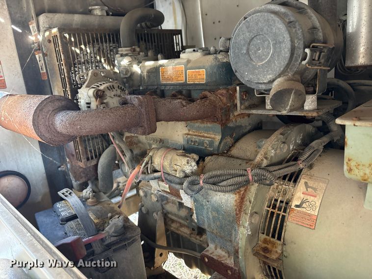 image for item DT2795  (4) light plants