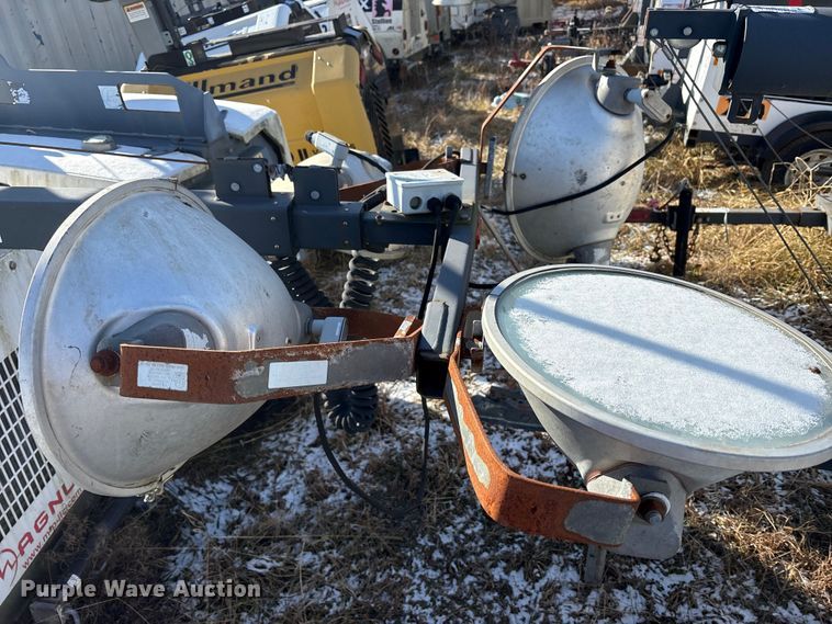 image for item DT2795  (4) light plants