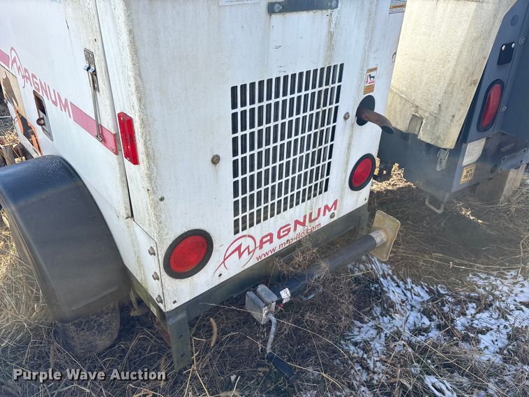 image for item DT2795  (4) light plants