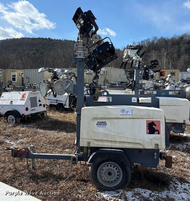 image for item DT2796 (4) light plants