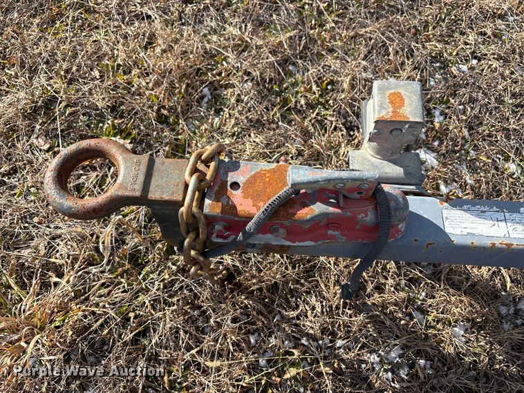 image for item DT2796 (4) light plants