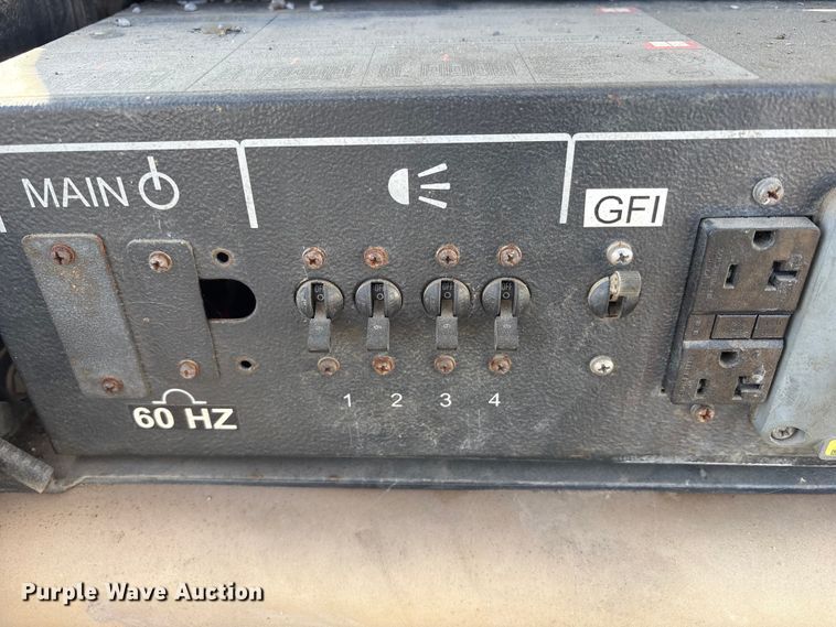 image for item DT2796 (4) light plants