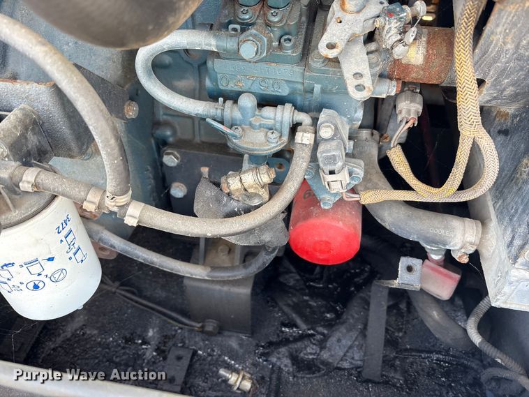 image for item DT2796 (4) light plants