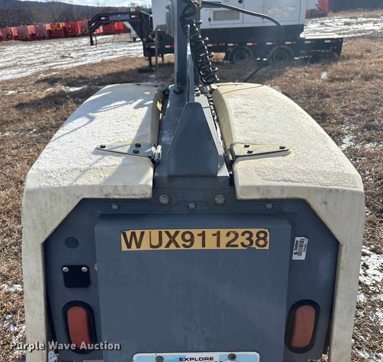 image for item DT2796 (4) light plants