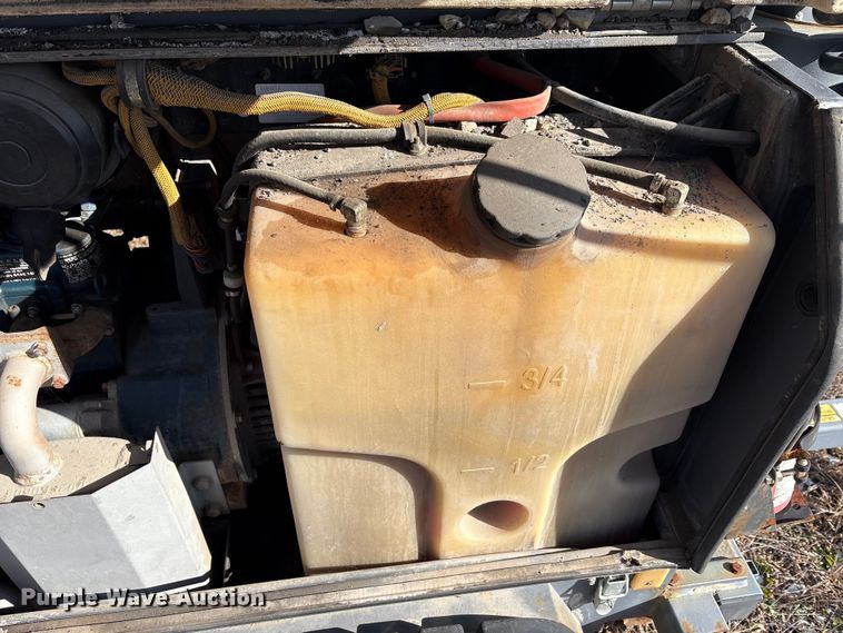 image for item DT2796 (4) light plants