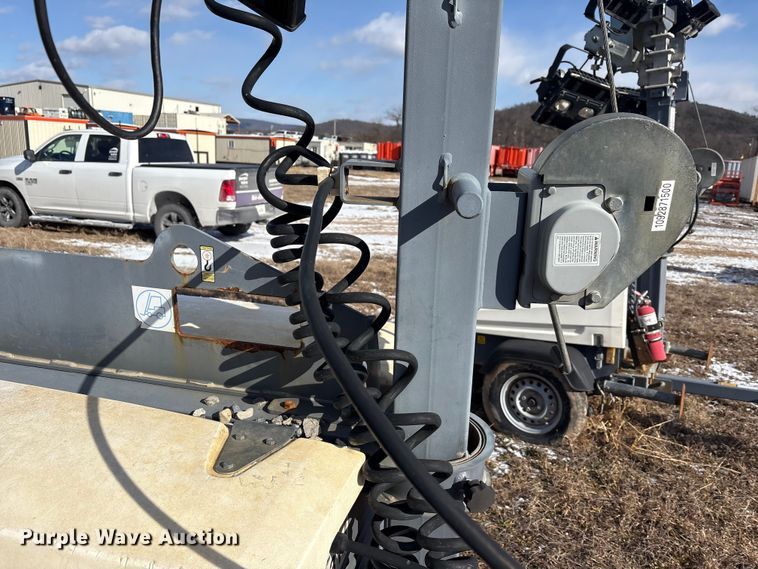 image for item DT2796 (4) light plants