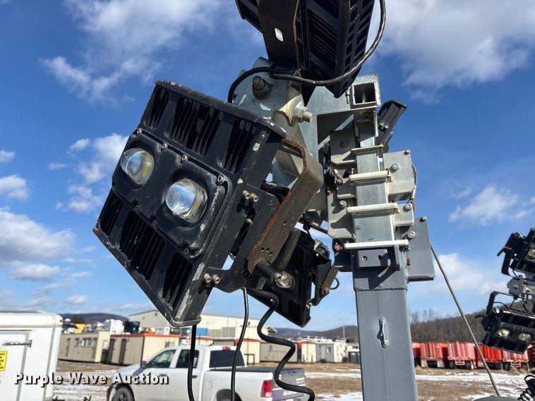 image for item DT2796 (4) light plants