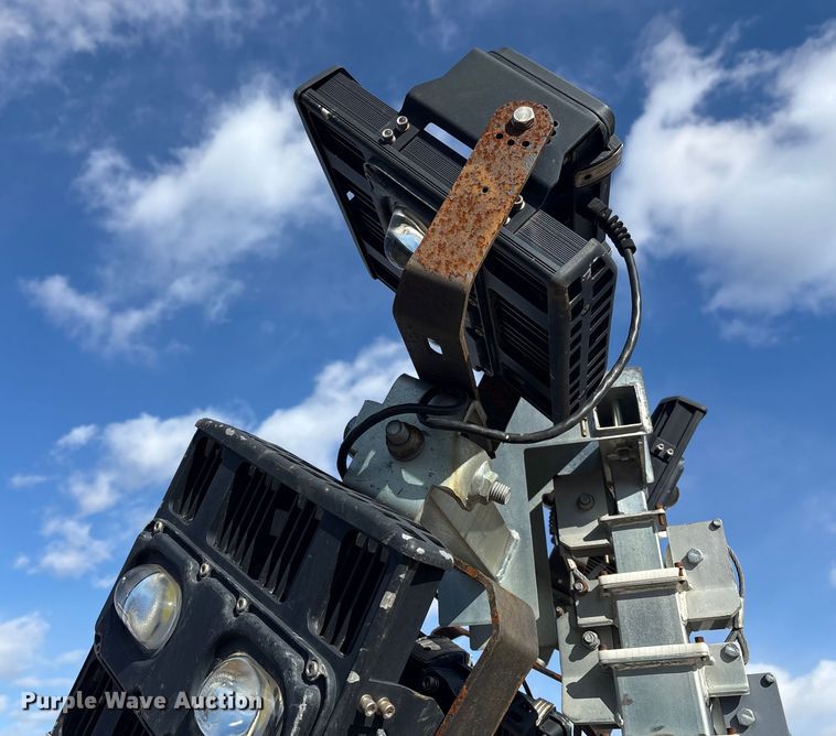 image for item DT2796 (4) light plants