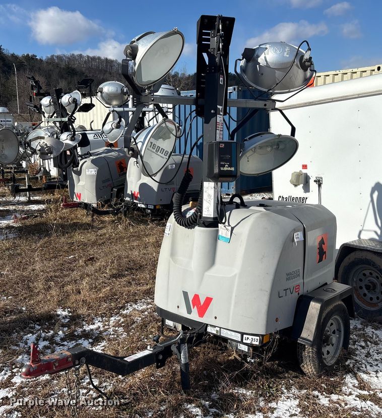 image for item DT2796 (4) light plants