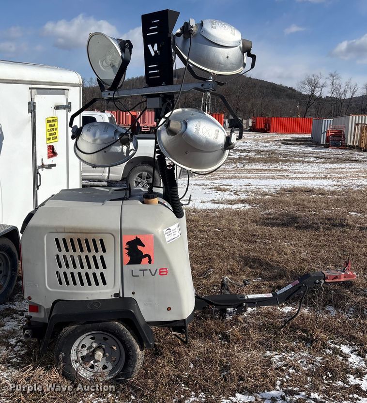 image for item DT2796 (4) light plants