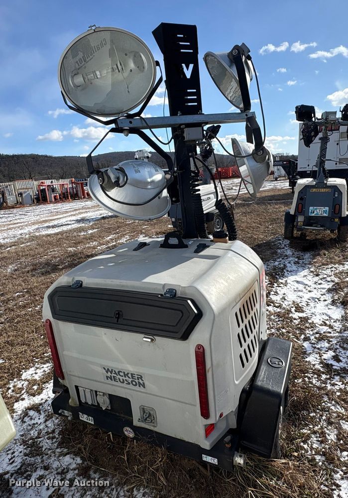 image for item DT2796 (4) light plants