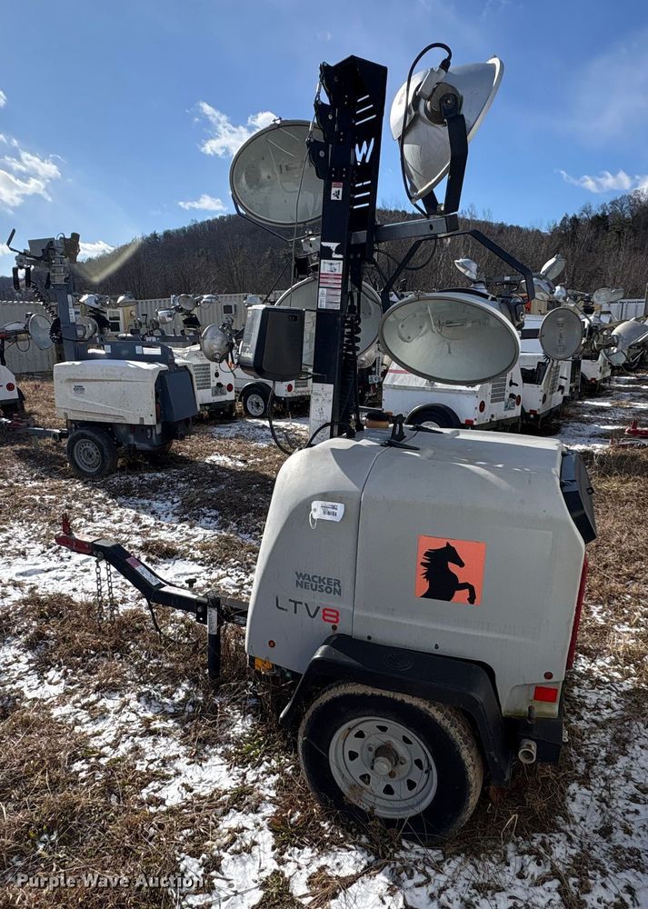 image for item DT2796 (4) light plants