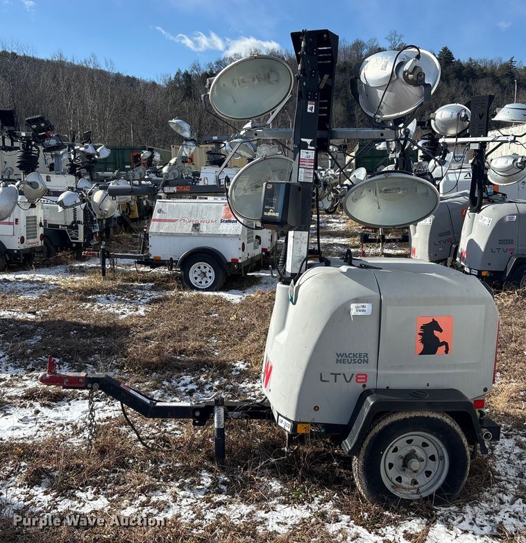 image for item DT2796 (4) light plants