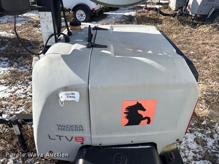 image for item DT2796 (4) light plants