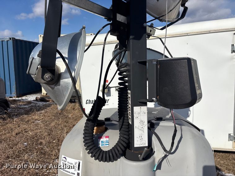 image for item DT2796 (4) light plants