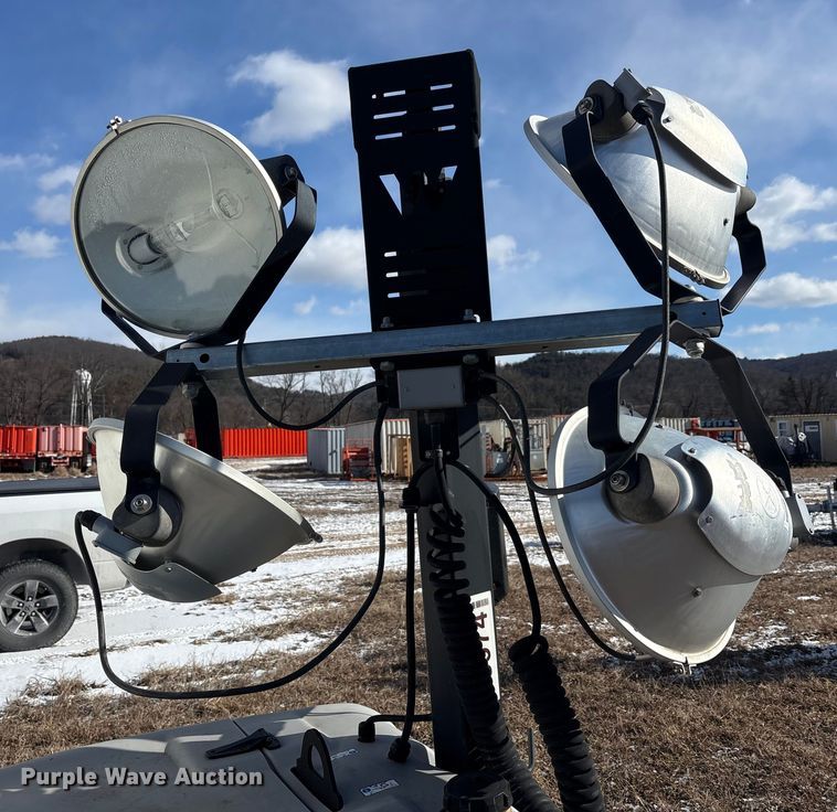 image for item DT2796 (4) light plants