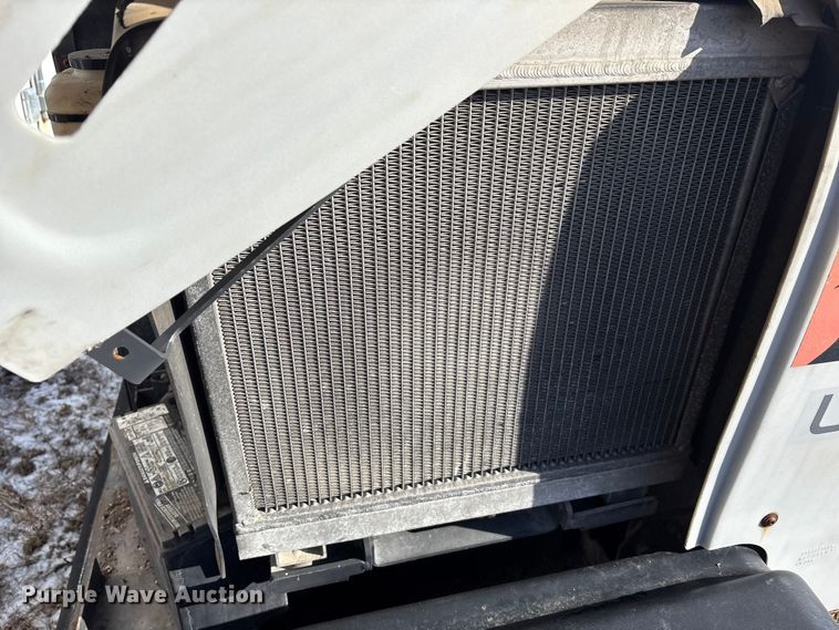 image for item DT2796 (4) light plants