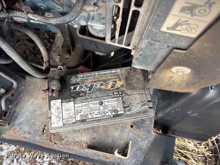 image for item DT2796 (4) light plants