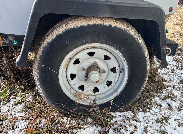 image for item DT2796 (4) light plants