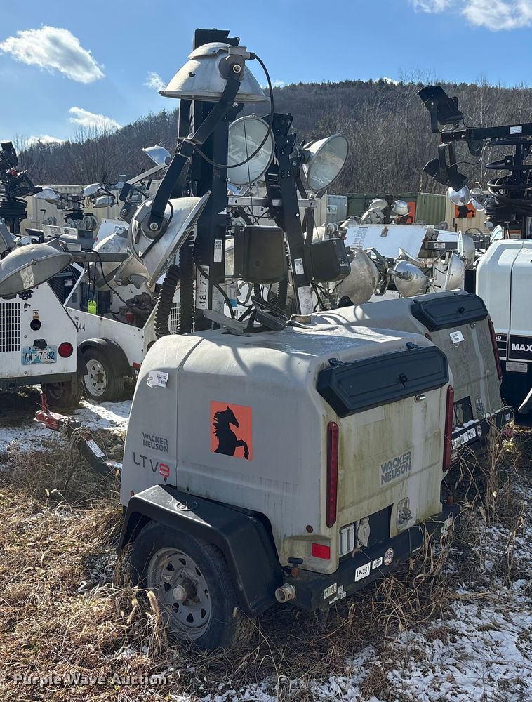 image for item DT2796 (4) light plants