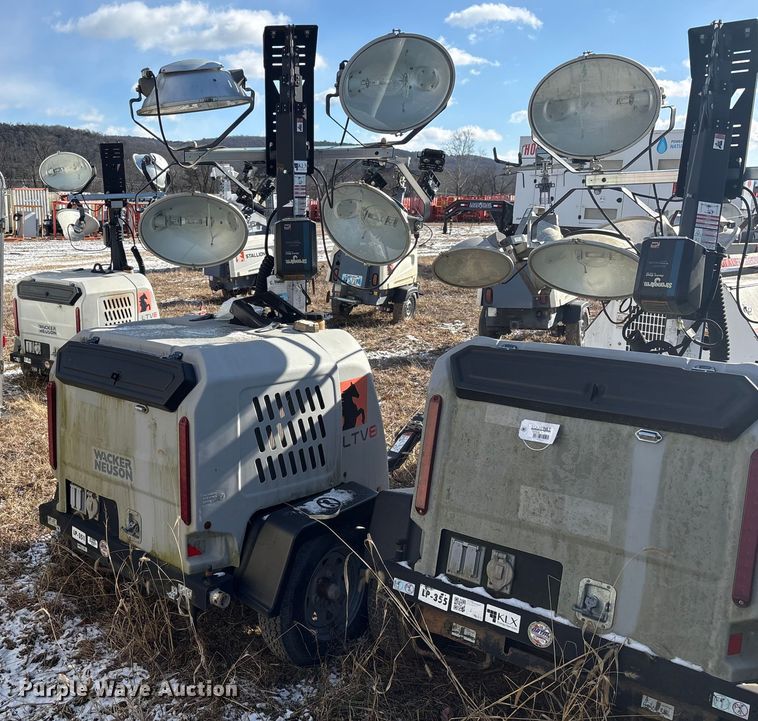 image for item DT2796 (4) light plants