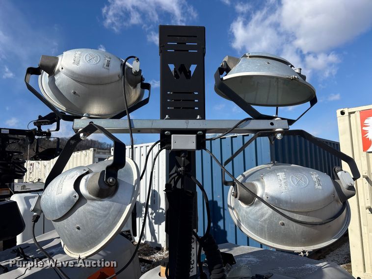 image for item DT2796 (4) light plants