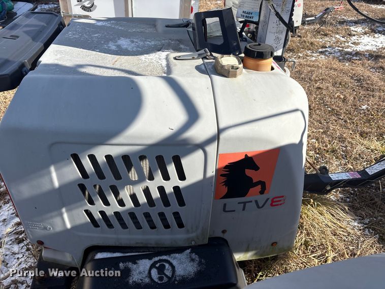 image for item DT2796 (4) light plants