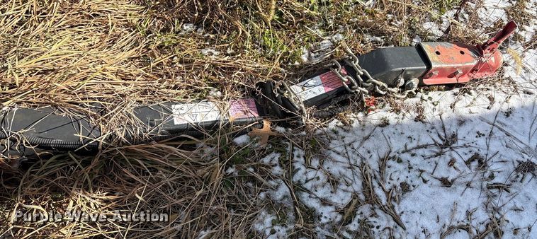 image for item DT2796 (4) light plants