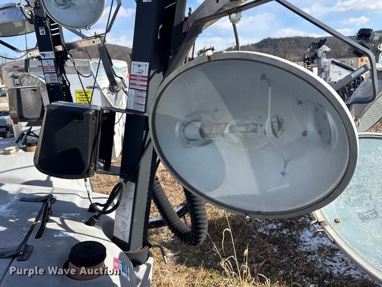 image for item DT2796 (4) light plants