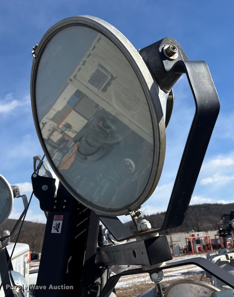 image for item DT2796 (4) light plants